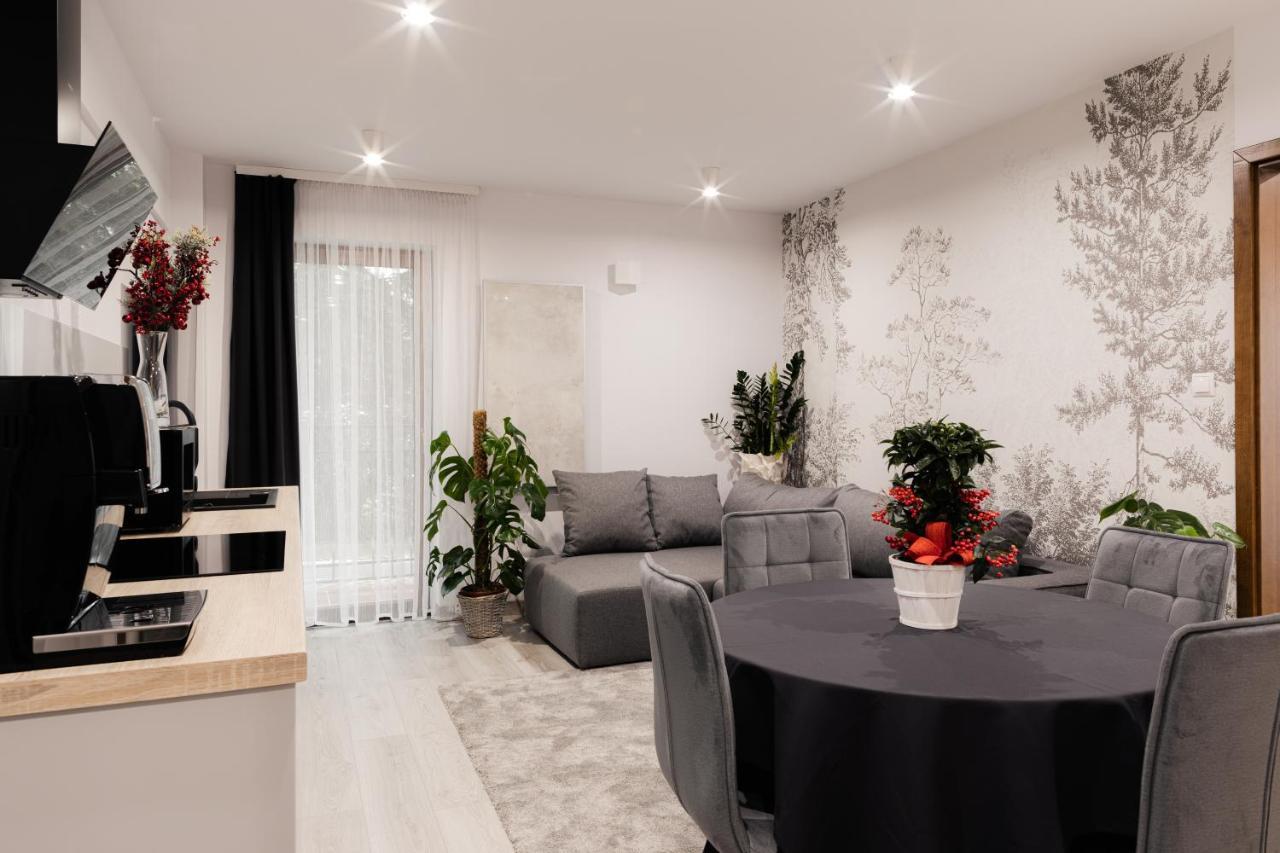 Royal Apartments & Spa Zakopane-Cyrhla 외부 사진